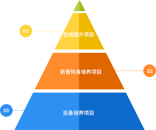 九洲国际