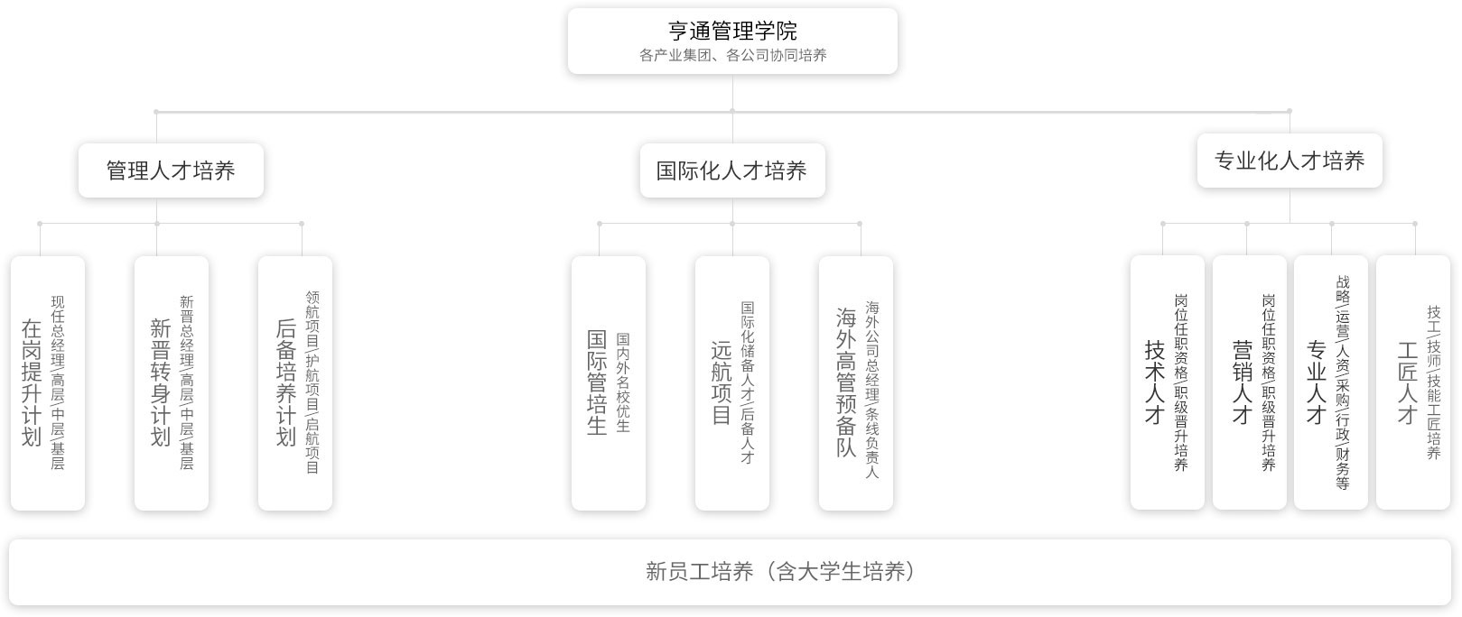 九洲国际